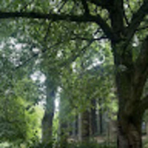 Meet your Posher, Dorothy